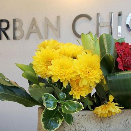 Urban Chic Boutique Hotel & Cafe Cape Town Ngoại thất bức ảnh